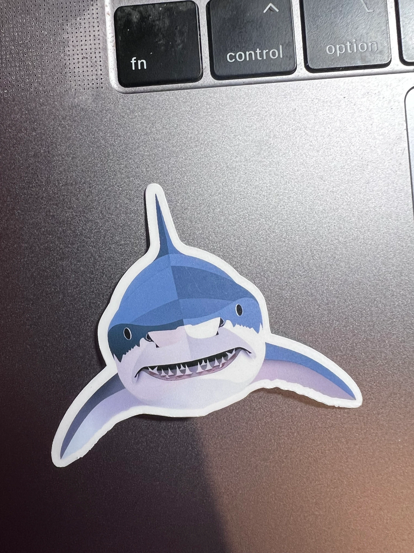 Shark Sticker | Shark Head-On Sticker | Waterproof Vinyl Sticker | Kawaii Sticker | Shark Lovers | Water Bottle Sticker | Shark Attack