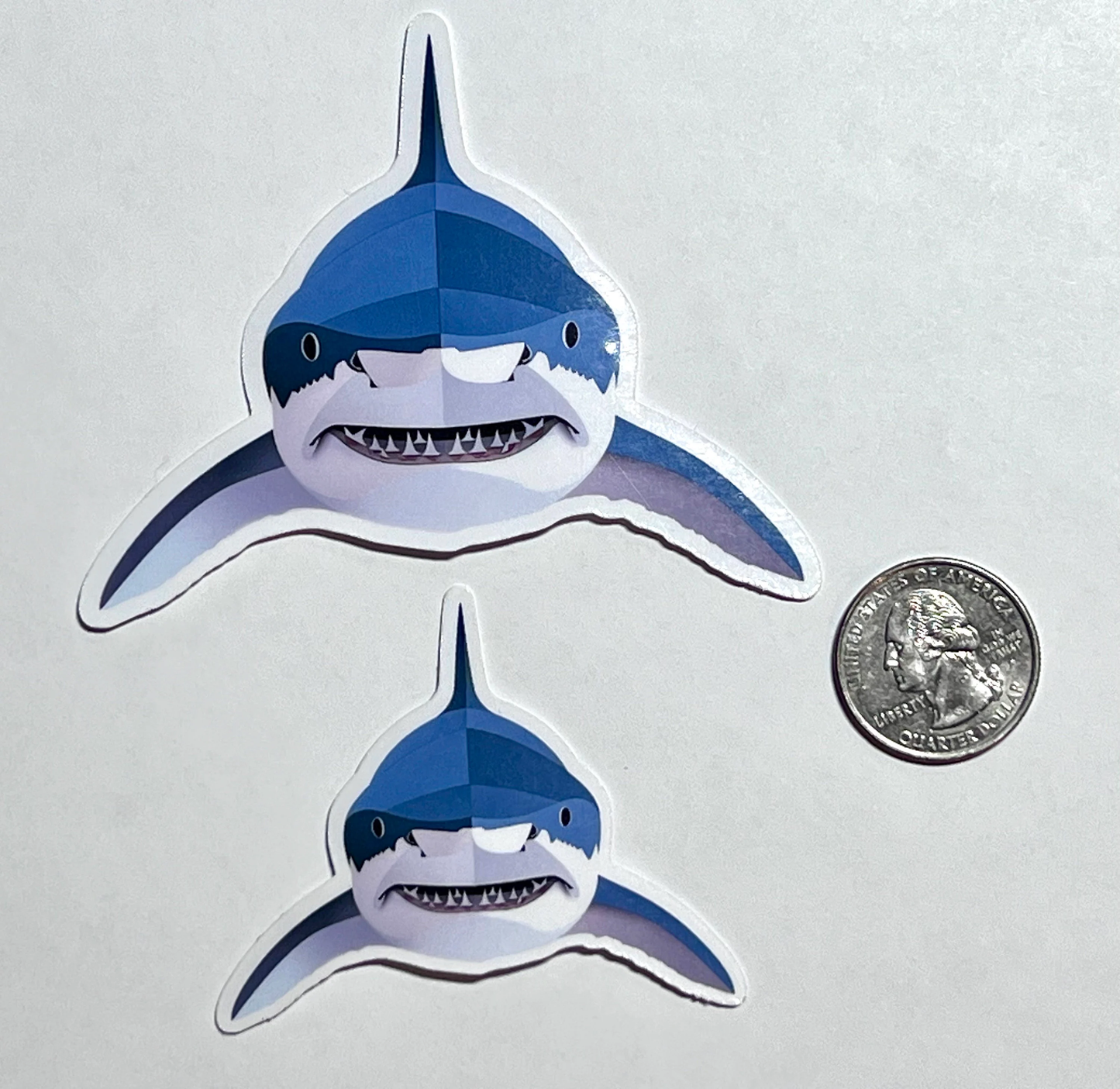 Shark Sticker | Shark Head-On Sticker | Waterproof Vinyl Sticker | Kawaii Sticker | Shark Lovers | Water Bottle Sticker | Shark Attack
