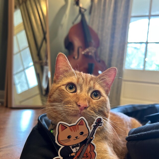String Bass Cat Sticker | Bass Viol Cat Orchestra Vinyl Sticker | Musician Gift | Orchestra Gift | Double Bass