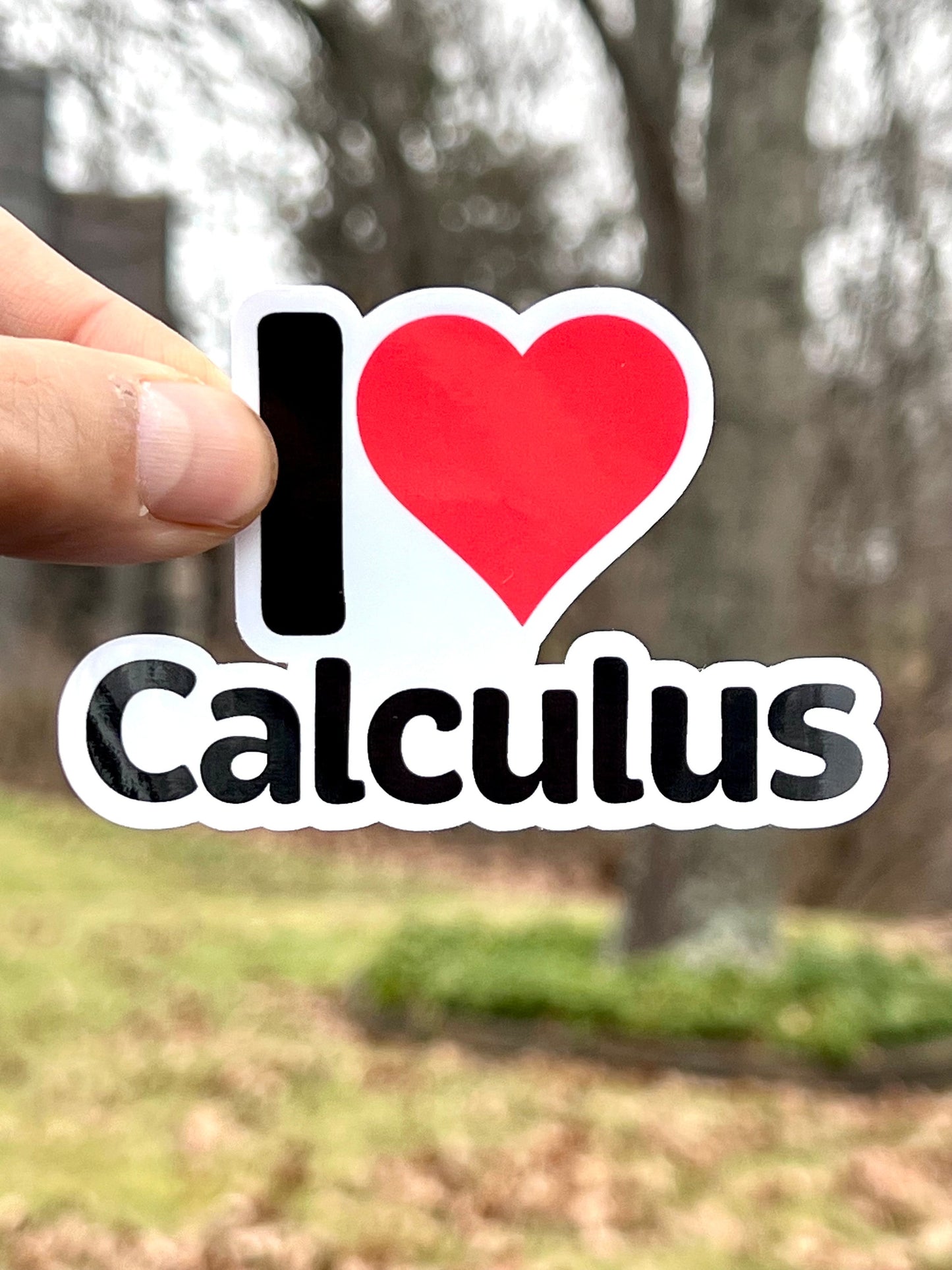 I love Calculus Sticker | I Heart Calculus Vinyl Sticker