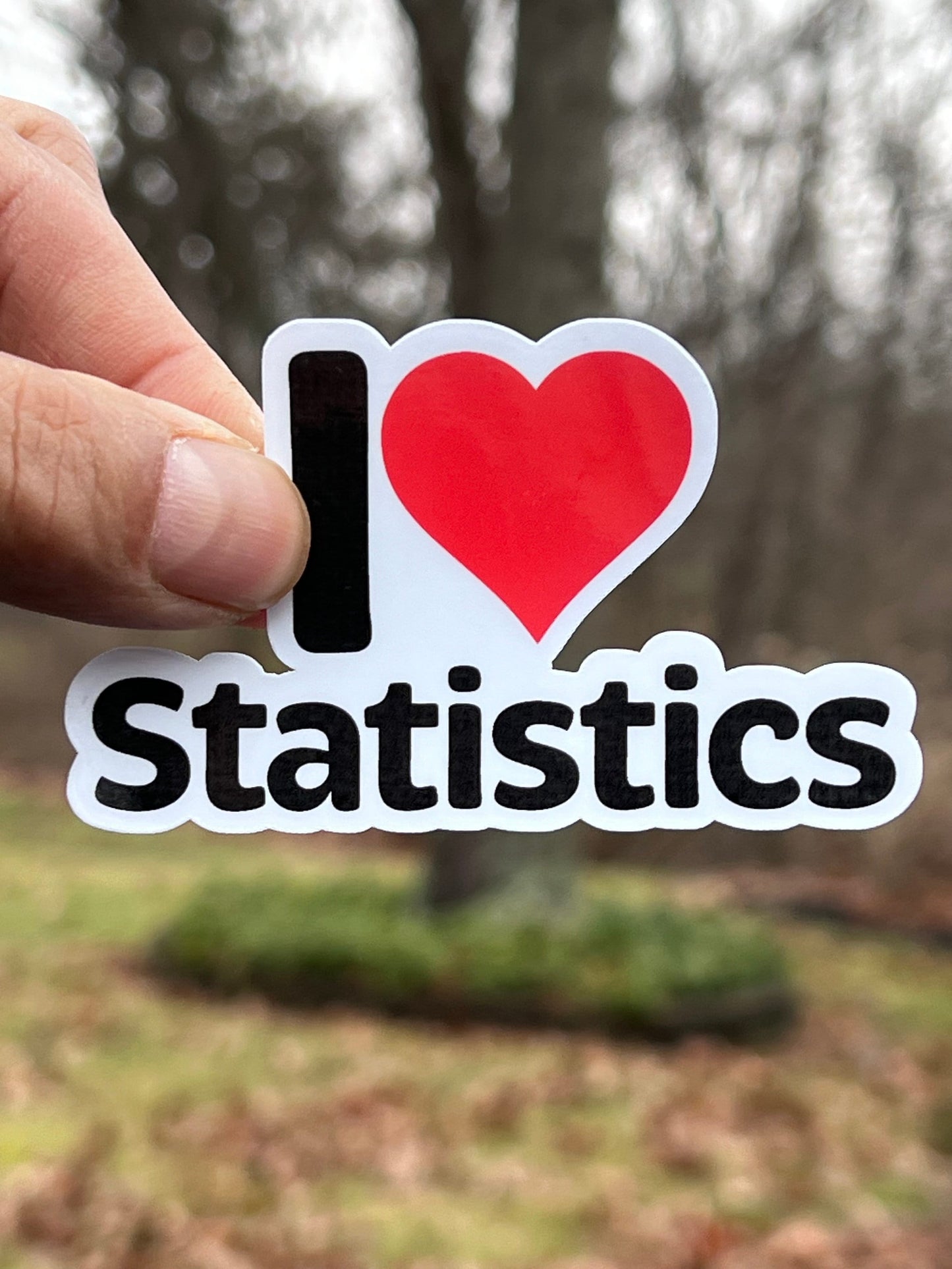 I love Statistics Sticker | I Heart Statistics Vinyl Sticker | Math Teacher Gift | Mathematician Gift | Quantitative