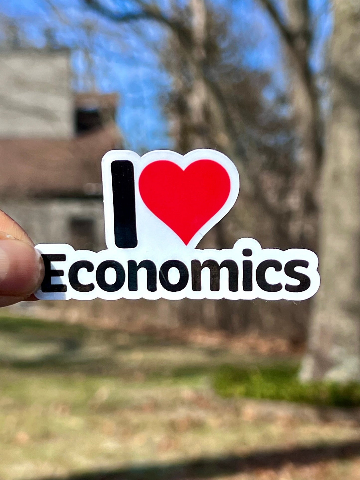 I Love Economics Vinyl Sticker image 3