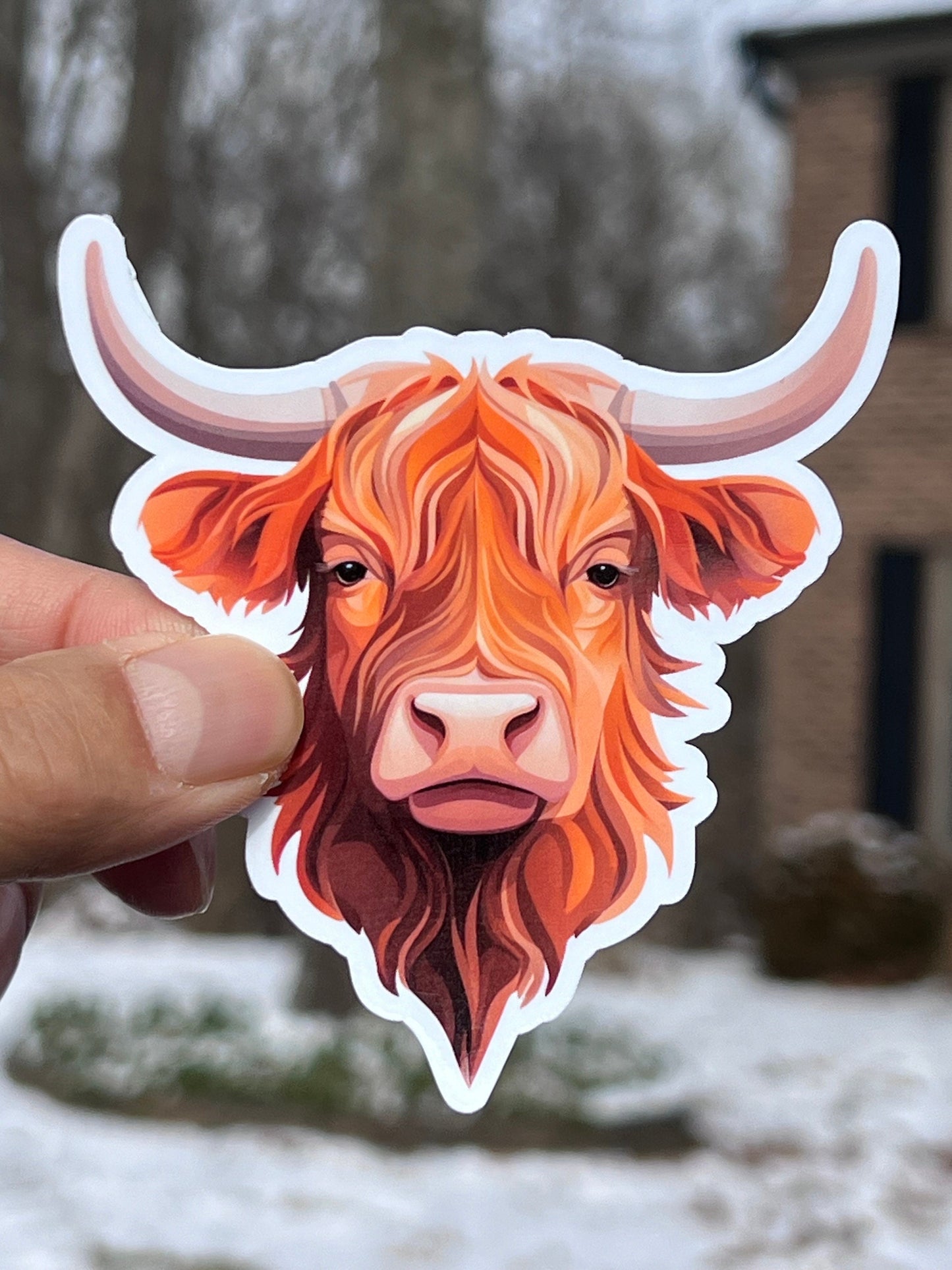 Highland Cow Vinyl Sticker