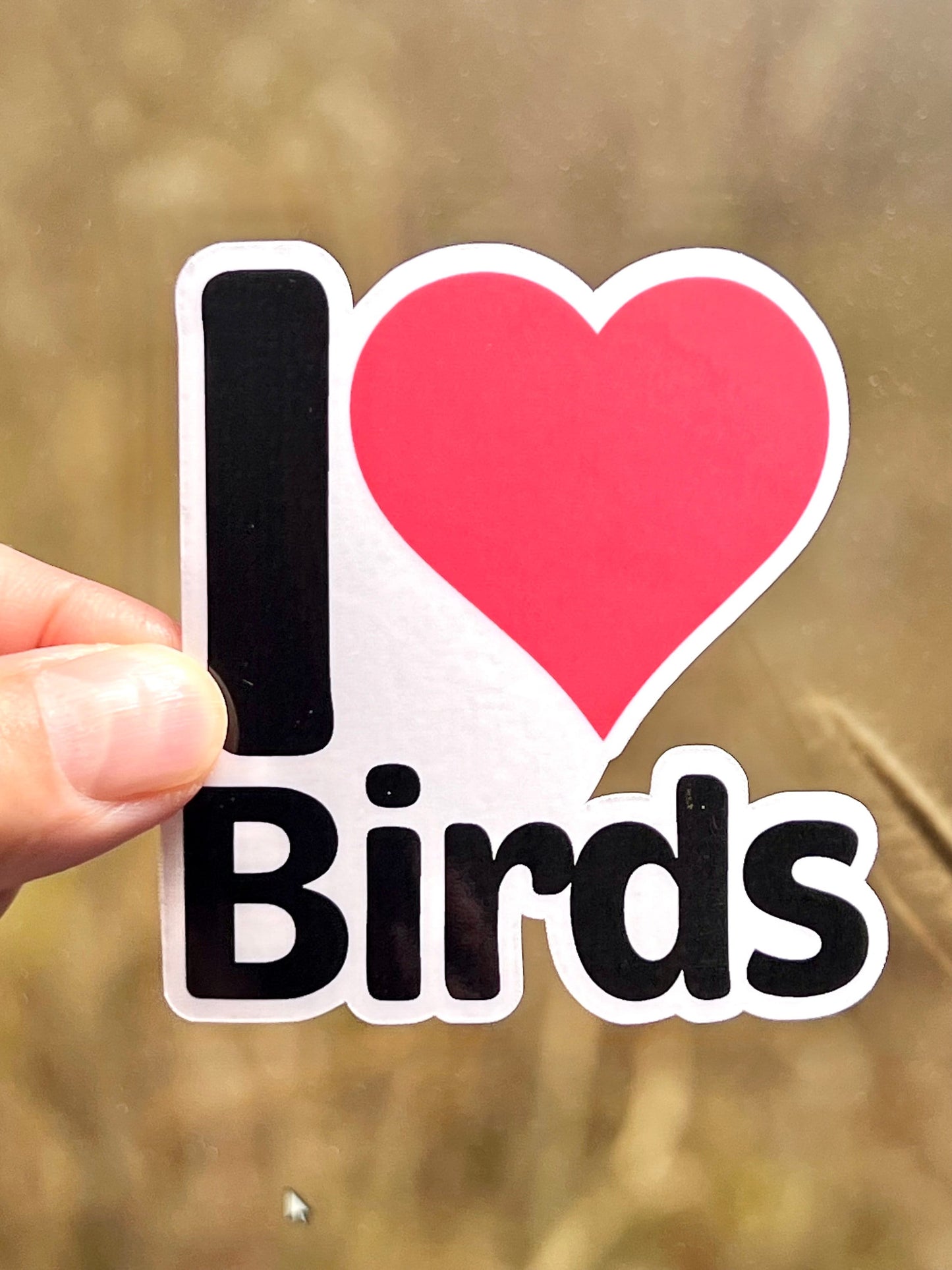 I Heart Birds Vinyl Sticker