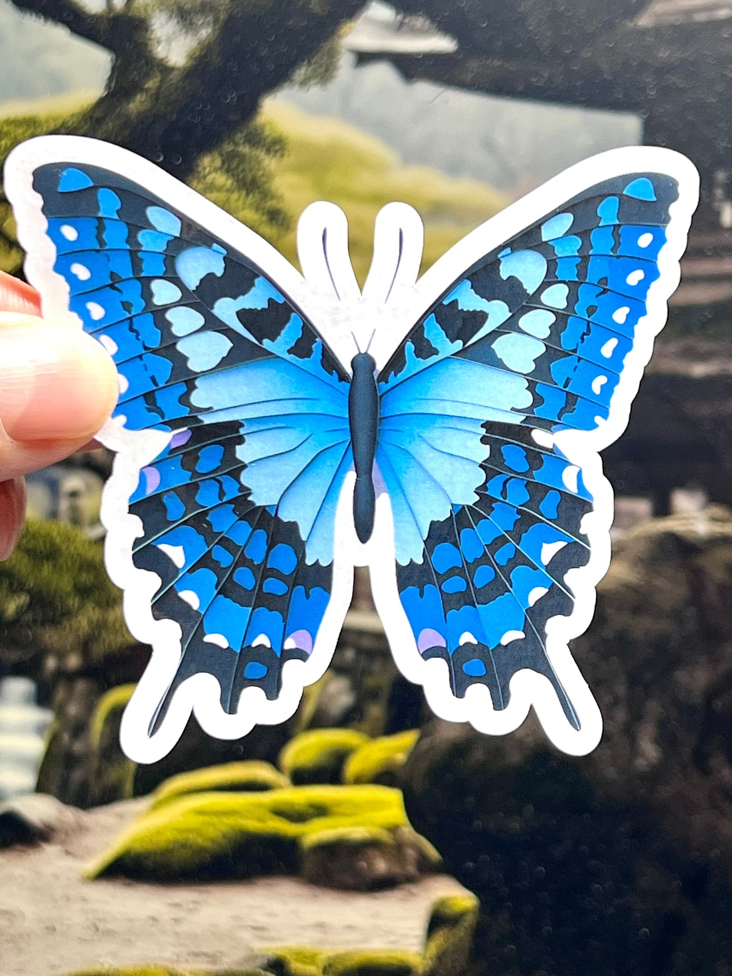 Blue Butterfly Sticker | Blue and Black Vibrant Insect Art