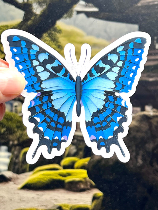 Blue Butterfly Sticker | Blue and Black Vibrant Insect Art