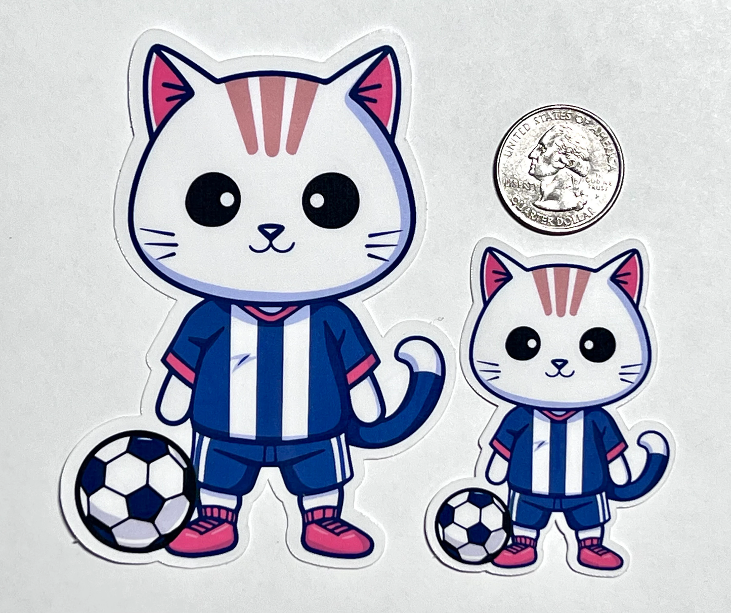 Soccer Cat Sticker | Football Cat Vinyl Sticker | Soccer Player | Soccer Team Gift- Soccer is Life