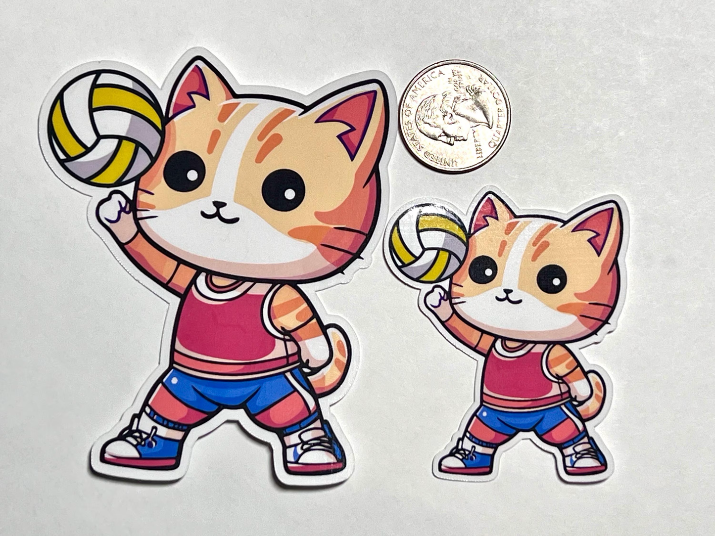 Volleyball Cat Sticker | Cute Cat Playing Volleyball | Volleyball Team Gift | Serve, Set, Spike | Sports Sticker